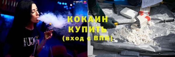 тгк Инта