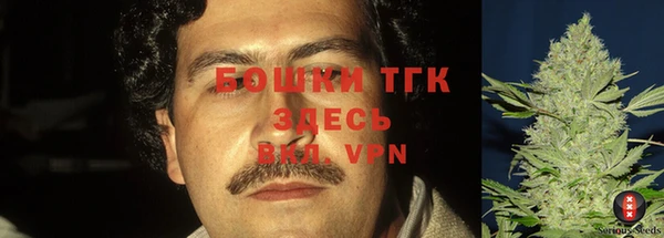 дмт Инсар