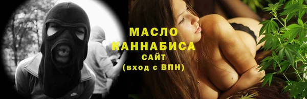 тгк Инта