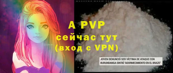 дмт Инсар