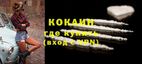 дмт Инсар
