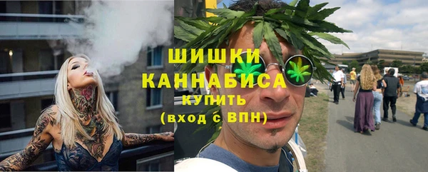 дмт Инсар