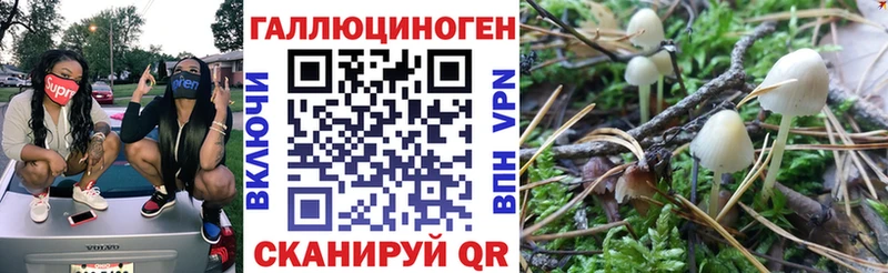 хочу   MEGA как войти  Псилоцибиновые грибы Psilocybine cubensis  Кулебаки 