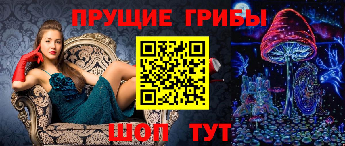 Псилоцибиновые грибы Cubensis Кулебаки