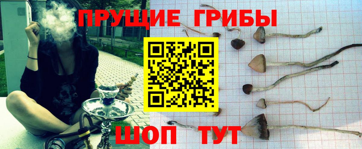 Галлюциногенные грибы Magic Shrooms  Вход с VPN  Кулебаки 